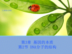 《DNA分子的結(jié)構(gòu)》PPT課件.pptx