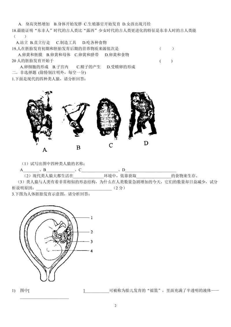 七年级下章节训练题.doc_第2页