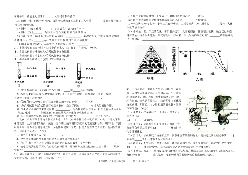 七年级生物下第一次月考试题.doc_第3页