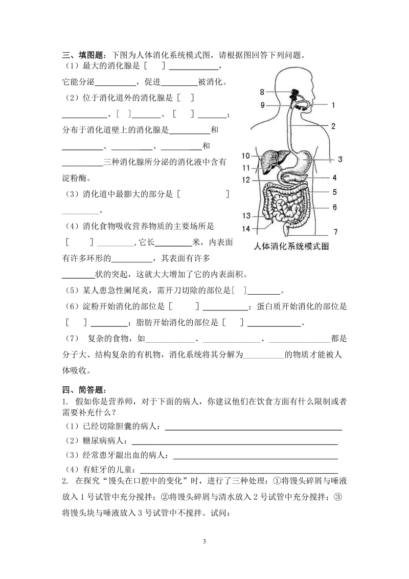 七年级生物下册第二单元营养物质测试题.doc_第3页