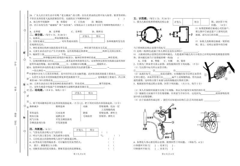 2014年大田中学七年级生物试卷.doc_第2页