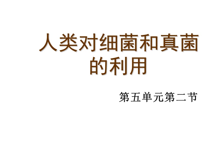 人类对细菌和真菌的利用 PPT课件.ppt_第1页