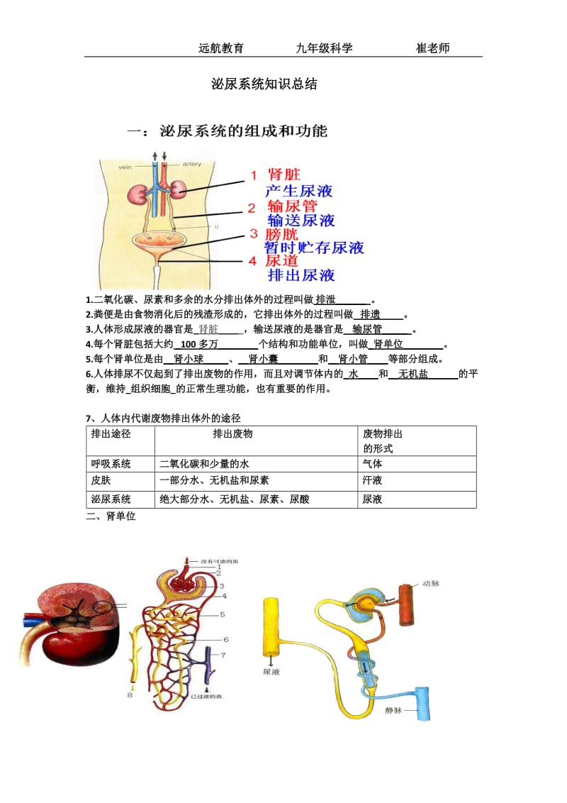 肾脏知识点总结.doc_第1页