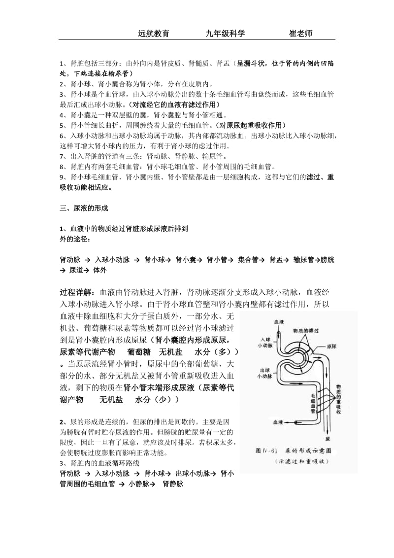 肾脏知识点总结.doc_第2页