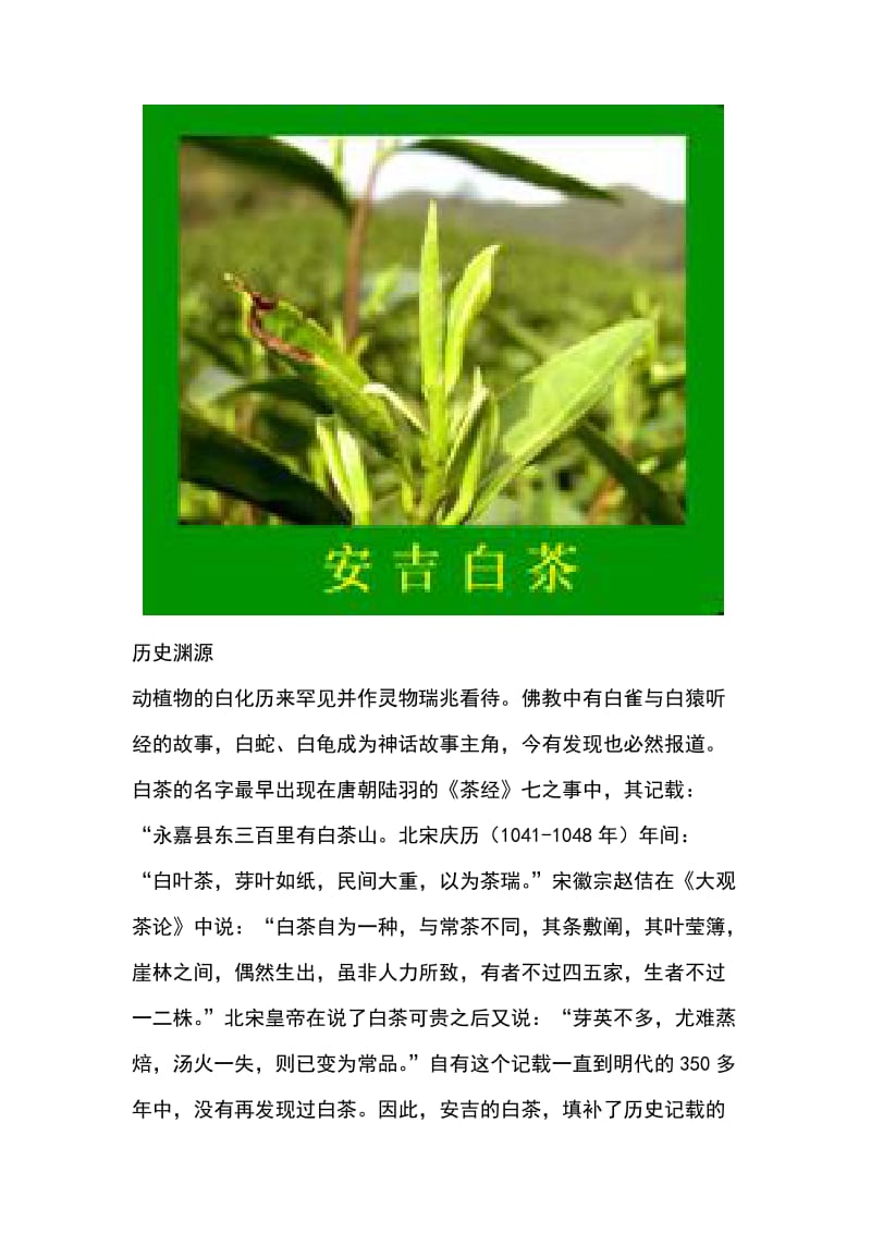 文君弄雪花茶茶艺设计.doc_第2页