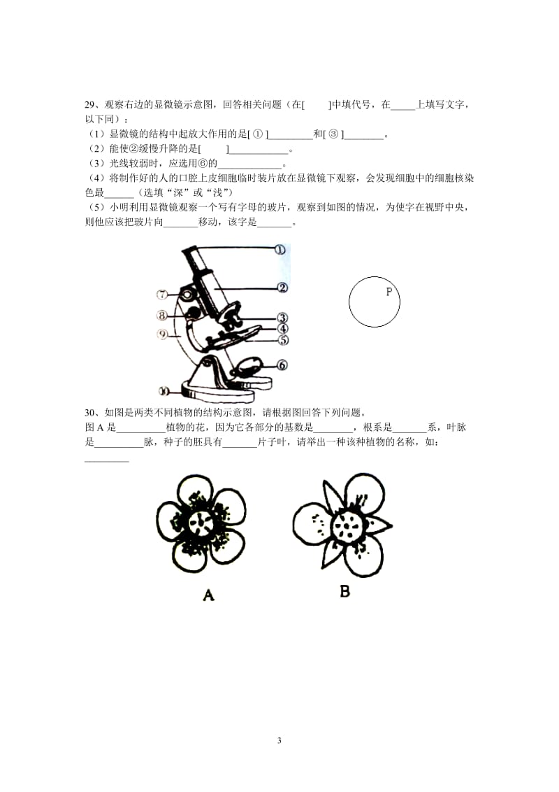 七年级上学期生物期中考试试卷.doc_第3页