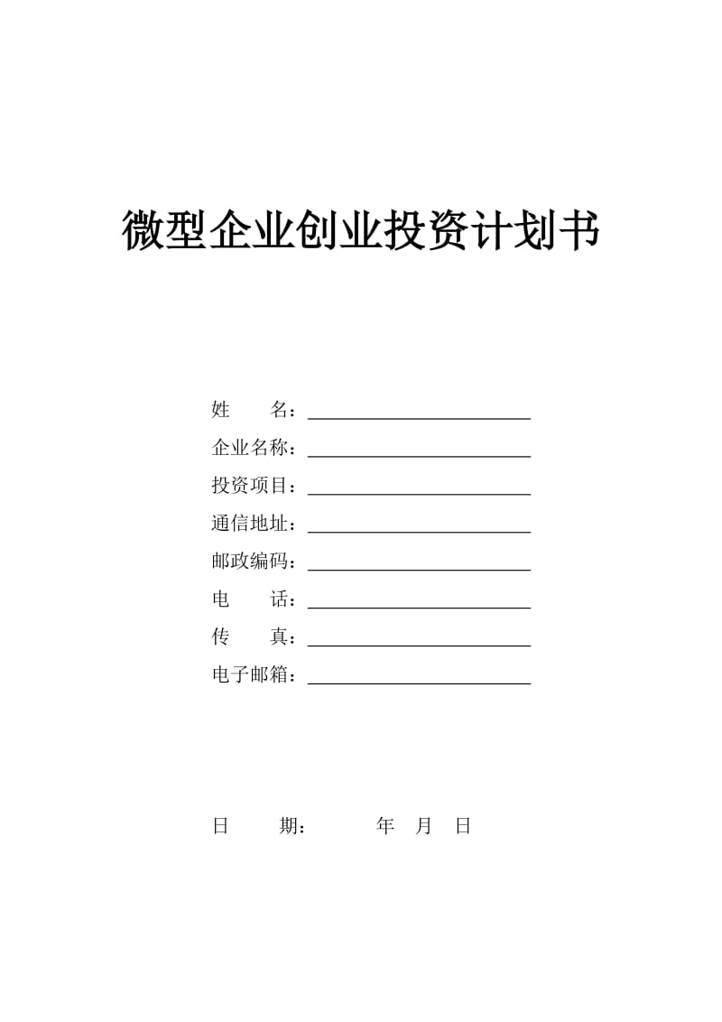 微型企业创业投资计划书.doc_第1页