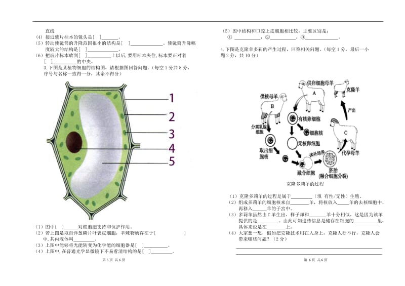 七年级上册生物-试卷.docx_第3页