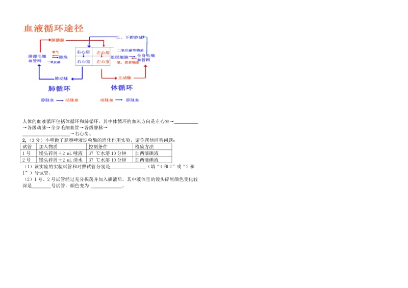 七年级下册生物期中试题.doc_第3页