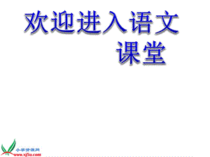 （人教版）四年級語文下冊課件 趵突泉 1