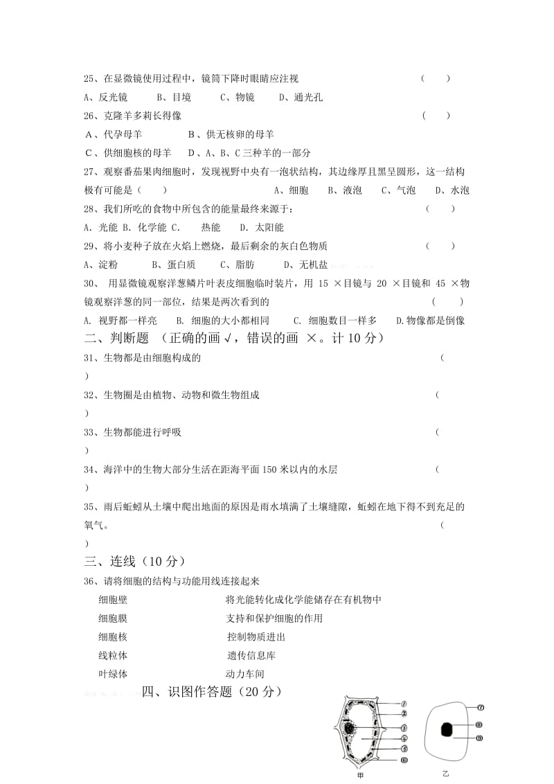 七年级生物半期试题.doc_第3页