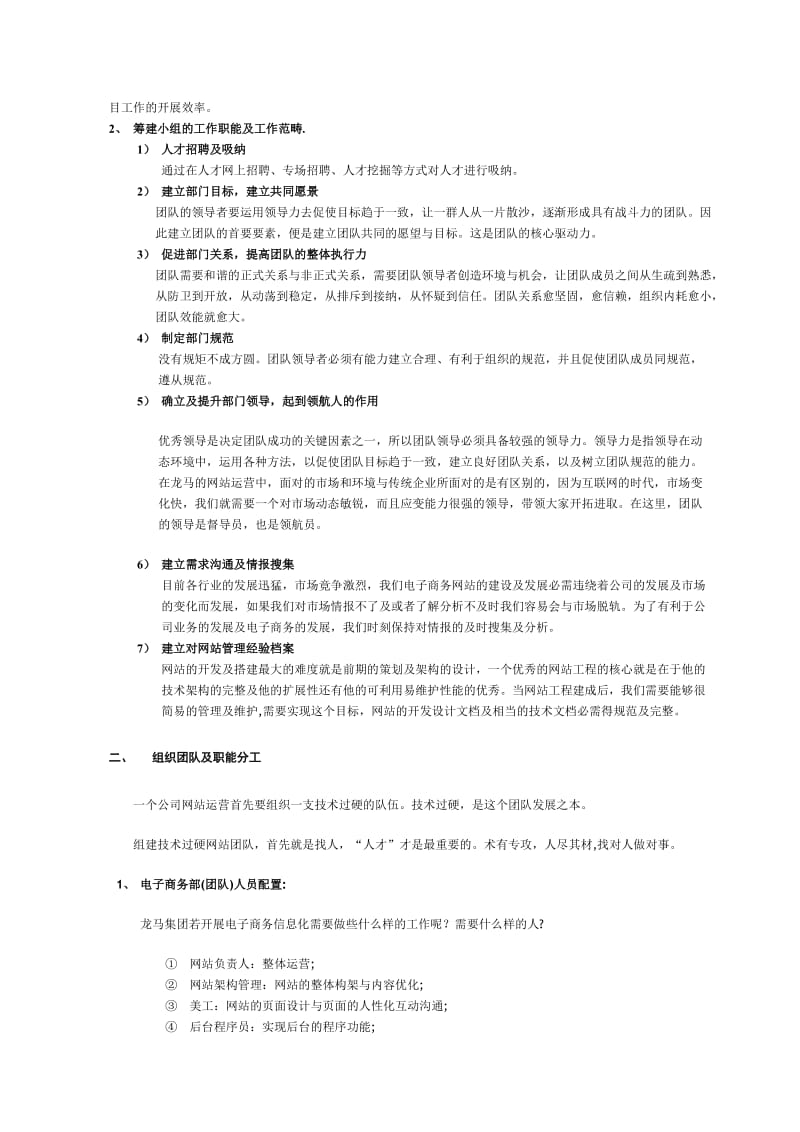 电子商务开发团队组建方案.doc_第2页