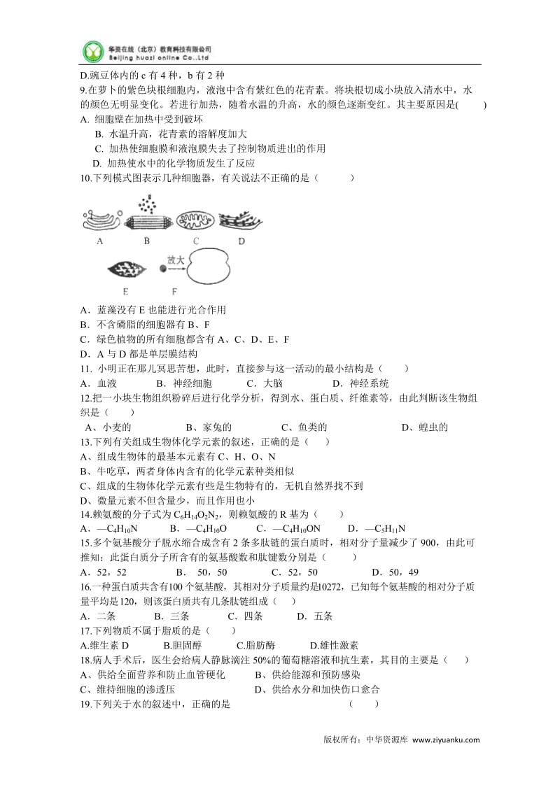 2012-2013学年湖南省衡阳八中高一上学期期中考试生物试题.doc_第2页