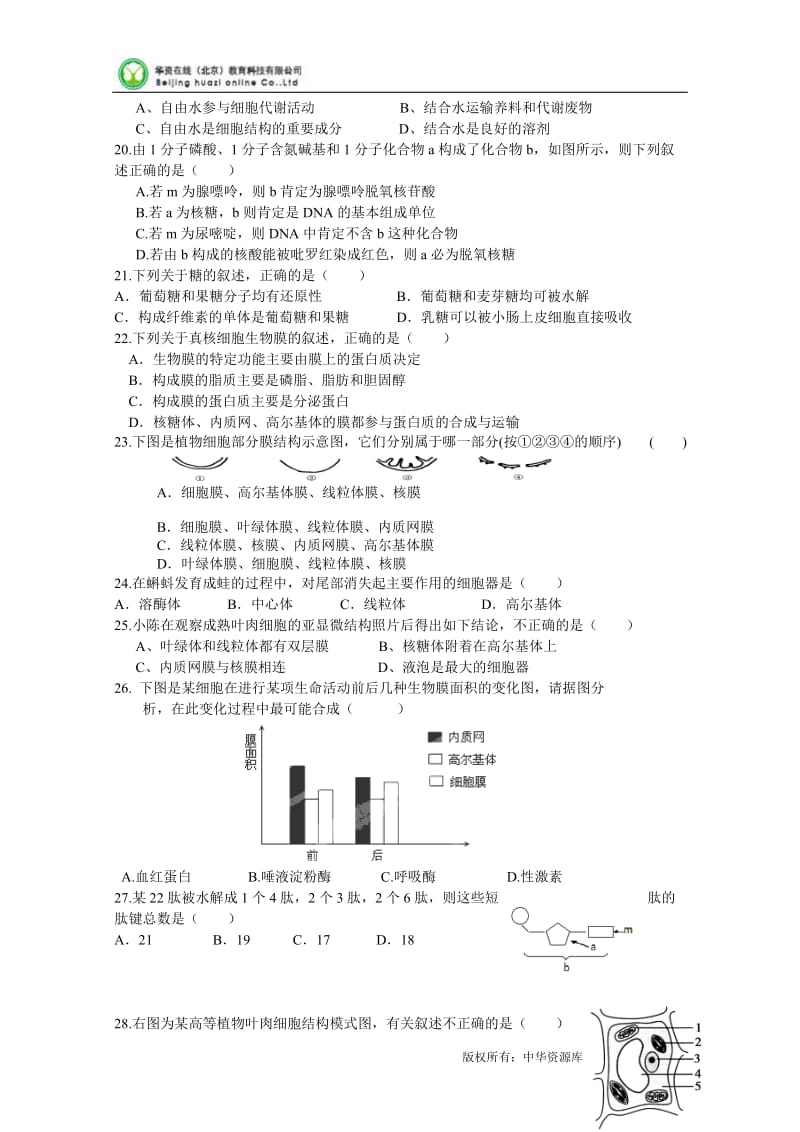 2012-2013学年湖南省衡阳八中高一上学期期中考试生物试题.doc_第3页