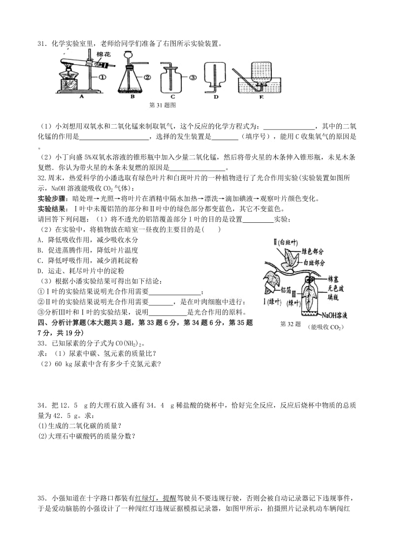 八年级(下)科学期末模拟卷.doc_第3页