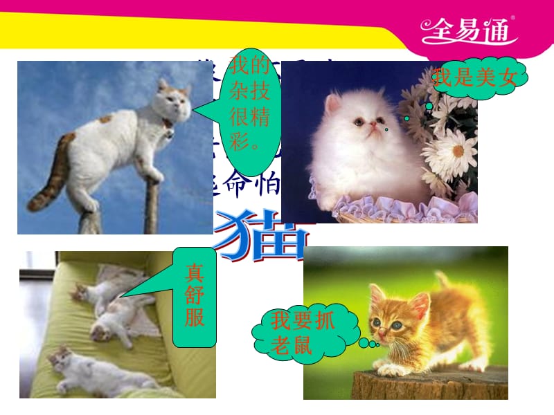 部编小学语文15.猫ppt课件_第3页