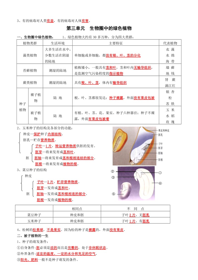 人教版初中生物会考复习精要(正式版).doc_第3页