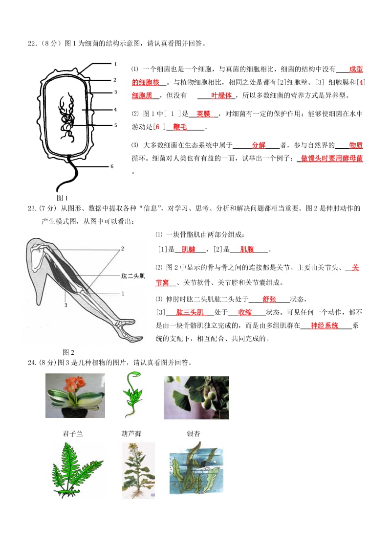 八年级上册生物期末试题.doc_第3页