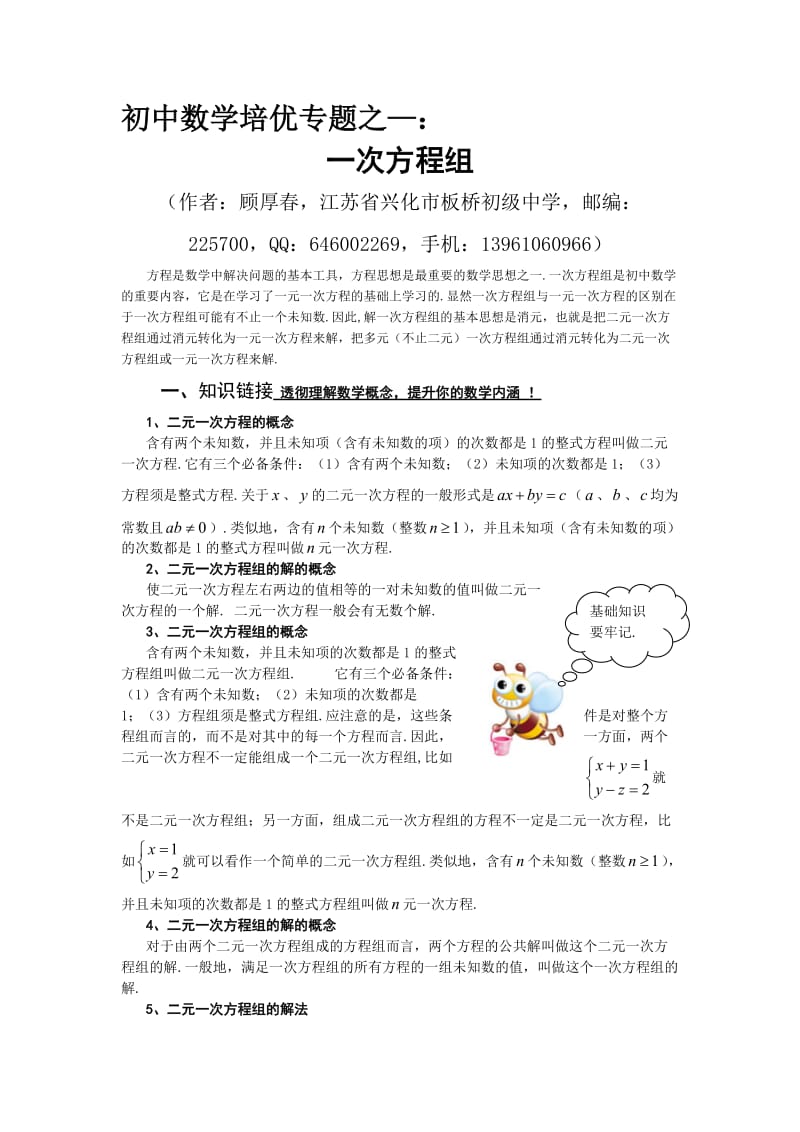 初中数学培优专题之-一次方程组.doc_第1页