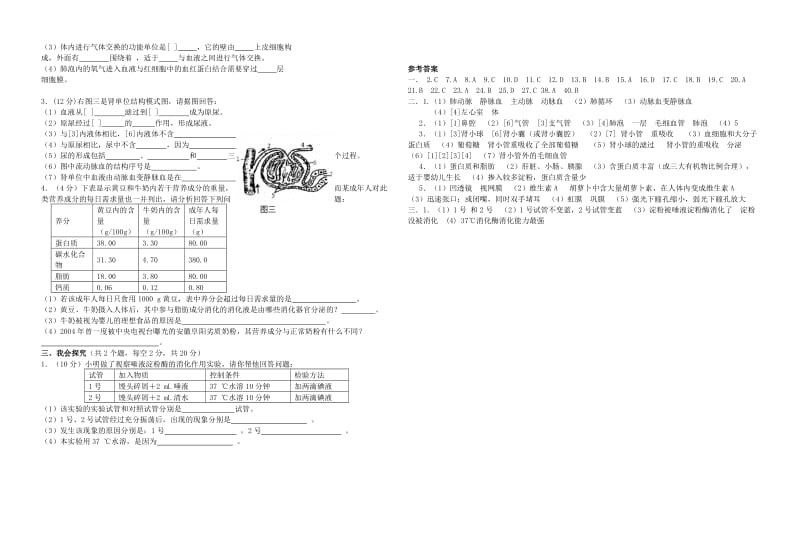 人教版七年级下册生物期末测试题8K.doc_第2页