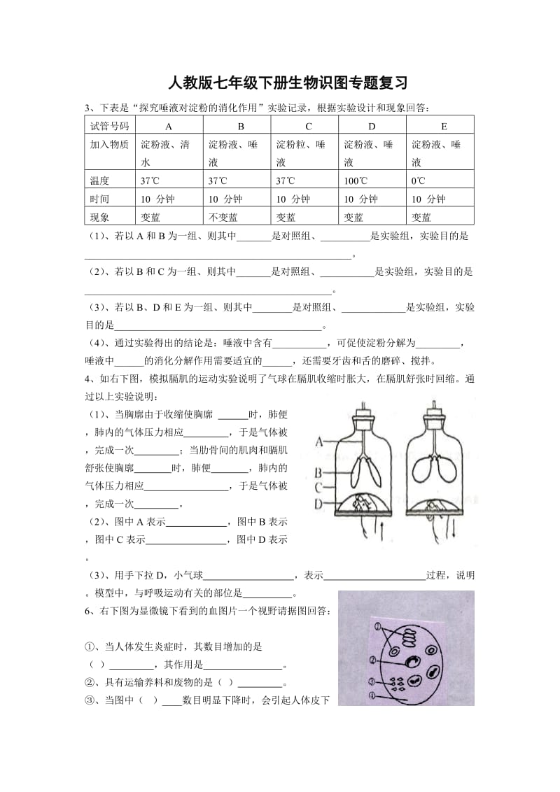 人教版七年级下册生物识图专题复习.doc_第1页