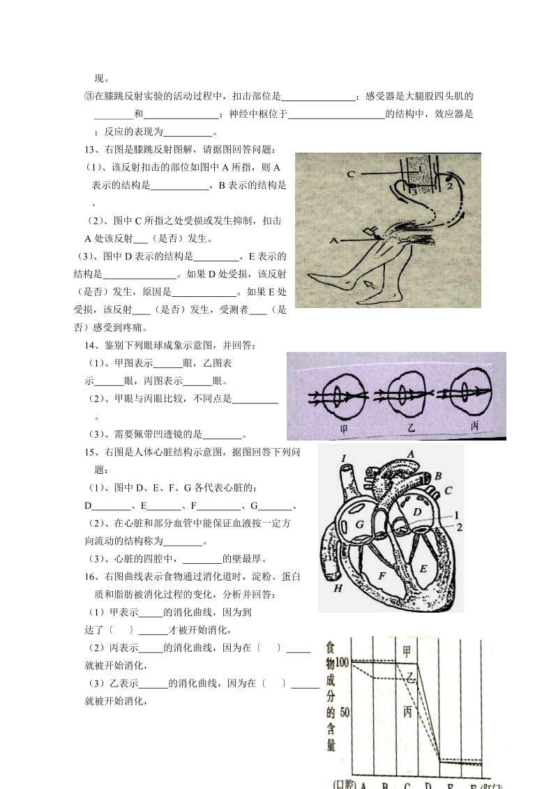 人教版七年级下册生物识图专题复习.doc_第3页