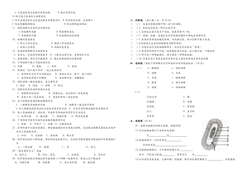 八年级生物半期考试题.doc_第2页