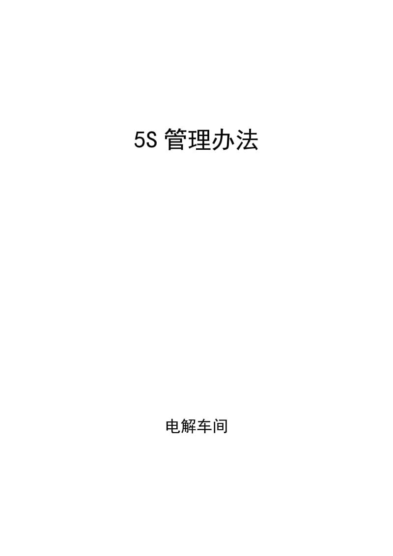 成州锌冶炼厂电解车间5S管理办法.docx_第1页