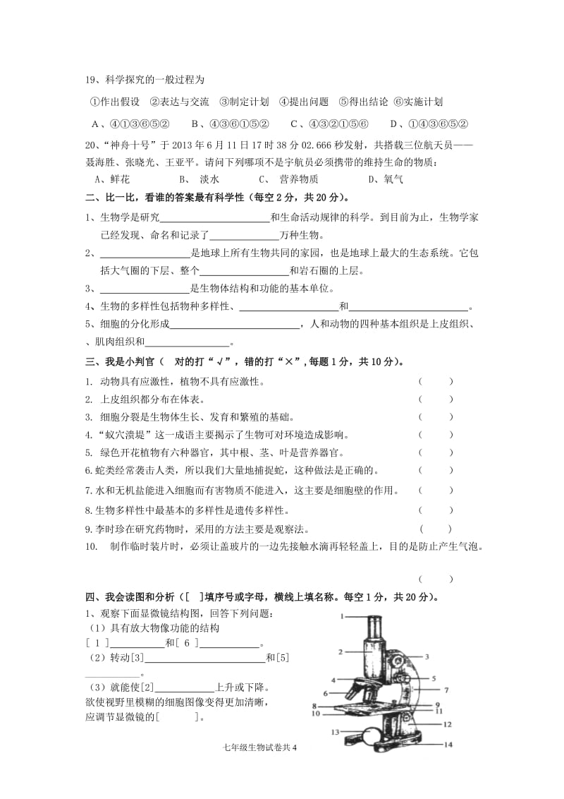 北师大版七年级生物上半期试题.doc_第3页