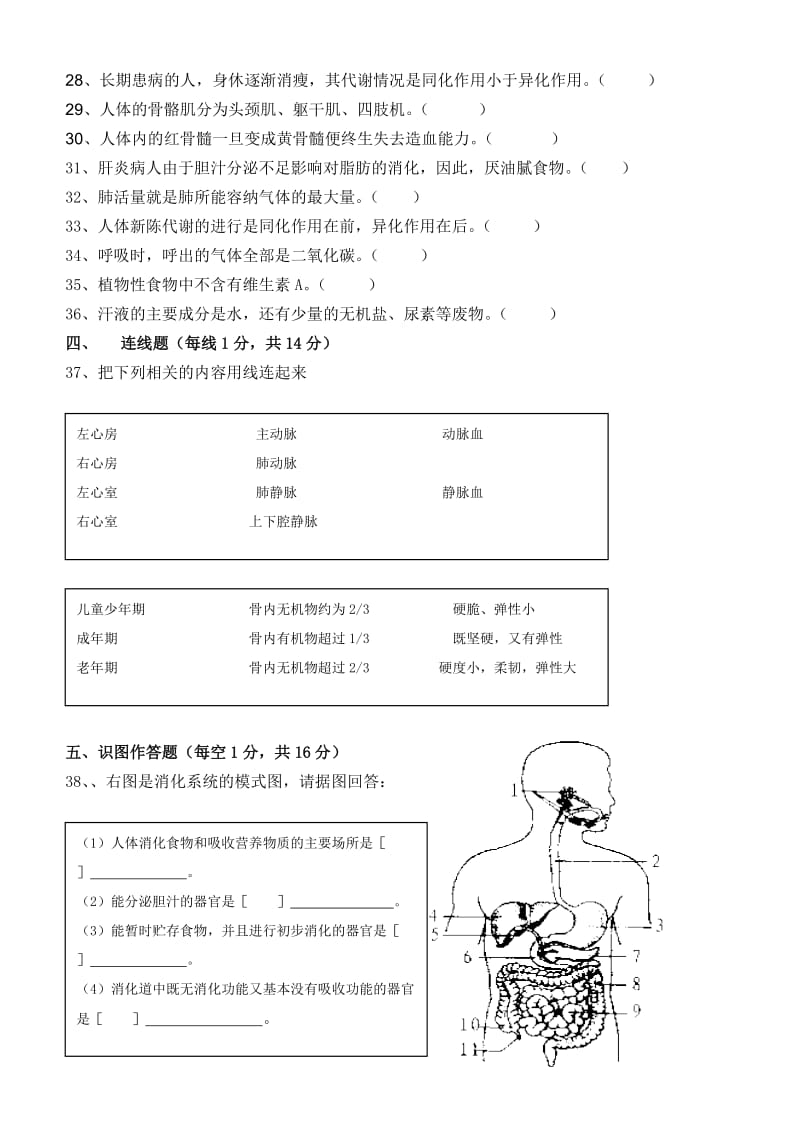 人教版七年级下册生物期末试题.doc_第3页