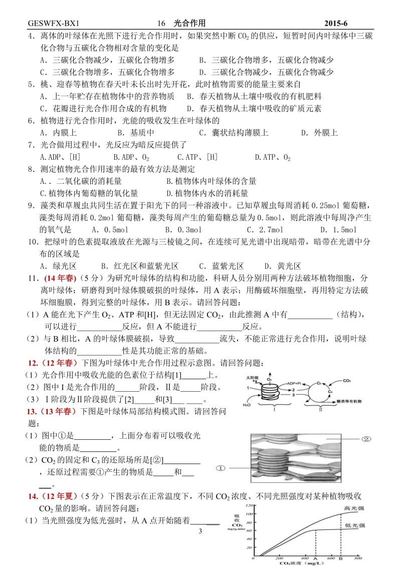 SW105-光合作用复习学案(理).doc_第3页