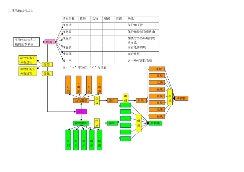 初中科学《生物部分》知识点梳理-思维导图.doc_第1页