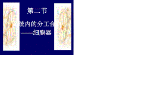 細胞器 公開課 講課課件.ppt