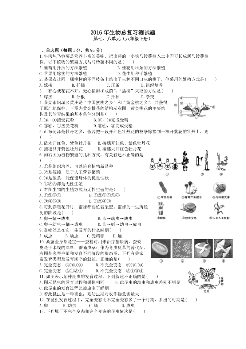 八年级下册生物测试题(第七、八单元总复习题).docx_第1页