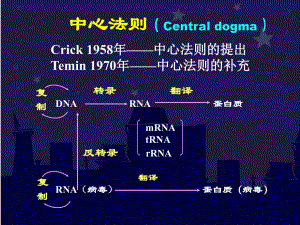 《中心法則》PPT課件.ppt