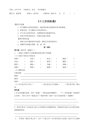 十三歲的際遇導學案定稿.doc