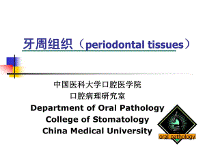 《口腔組織病理學(xué)》PPT課件.ppt