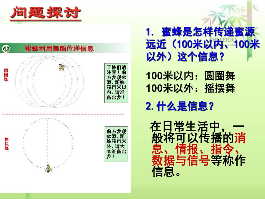 《信息传递》PPT课件.ppt_第1页