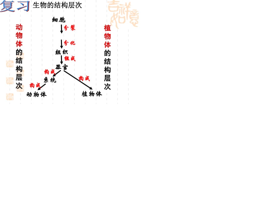 《單細(xì)胞的生物體》PPT課件.ppt_第1頁