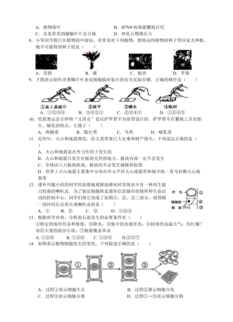 期末集训：七年级上.doc_第2页