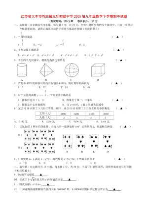 江蘇省大豐市劉莊鎮(zhèn)三圩初級中學(xué)2015屆九年級數(shù)學(xué)下學(xué)期期中試題.doc