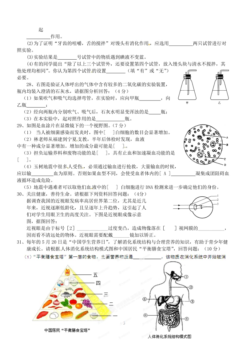 广西壮族自治区贵港市贵城四中七年级生物下学期期末复习试题.doc_第3页