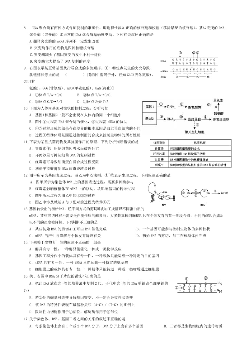 高三生物二轮复习基因的本质与表达.doc_第2页