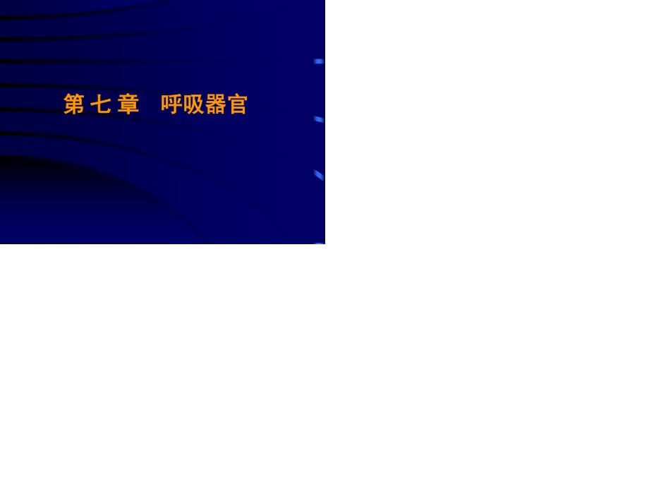 《呼吸器官》PPT課件.ppt_第1頁