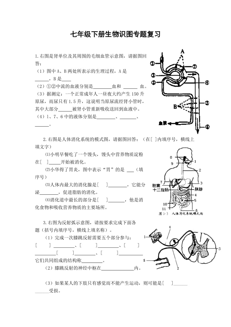 已整理的初中生物七年级下册识图专题复习.doc_第1页