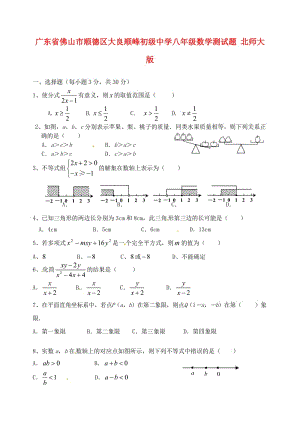 廣東省佛山市順德區(qū)大良順峰初級(jí)中學(xué)八年級(jí)數(shù)學(xué)測(cè)試題.doc