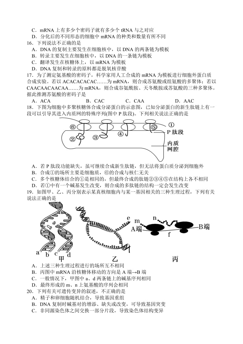 江西省南昌市第二中学2013-2014学年高二上学期期中考试生物试卷.doc_第3页