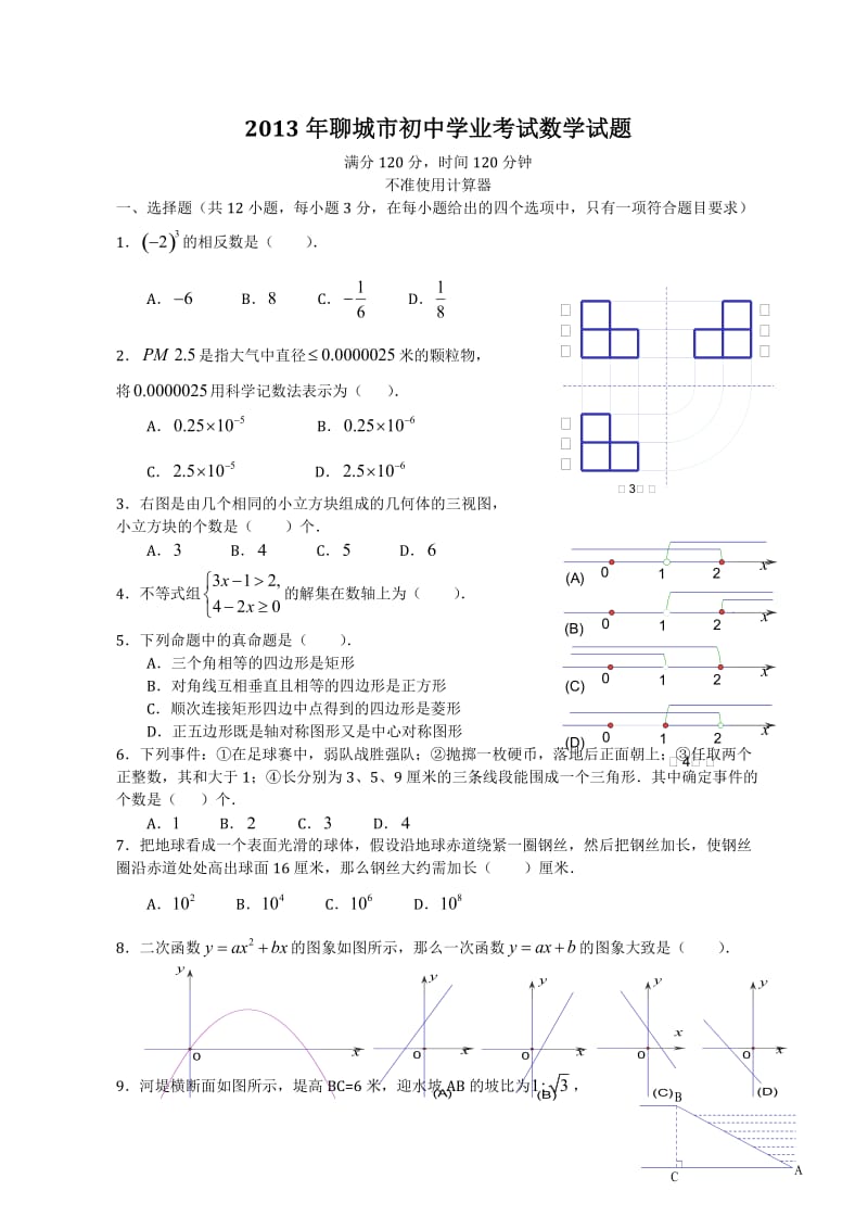 山东省聊城市2013年九年级中考数学试题.doc_第1页