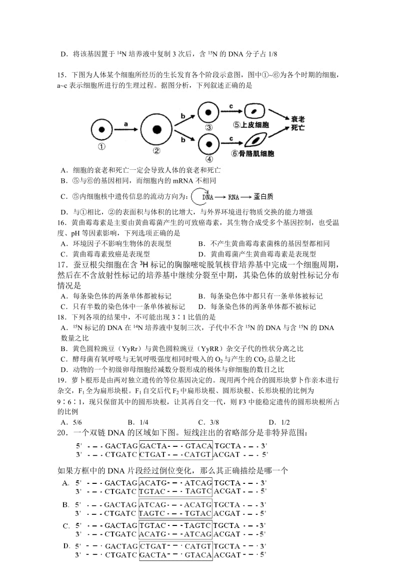 江苏省无锡市北高中2011届高三生物上学期期中考试试题.doc_第3页