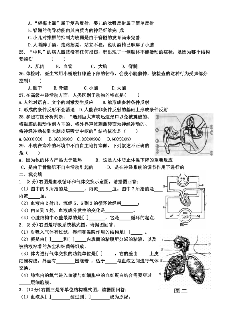 生物学七年级下册期末测试题(四).doc_第3页